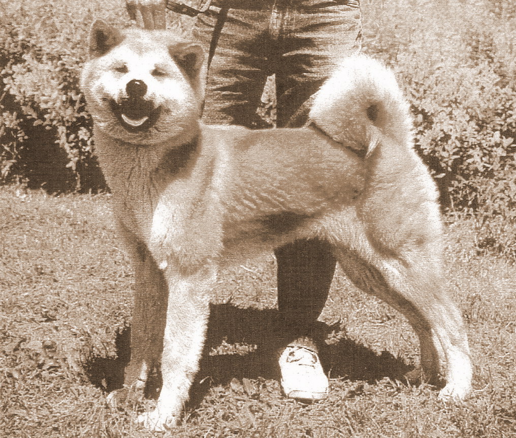 Eiko Tozama