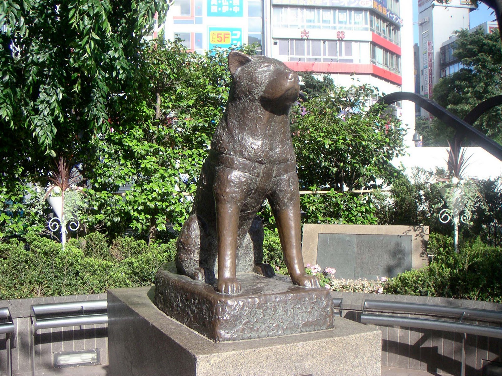 Bronzová socha Hachiko v Tokiu