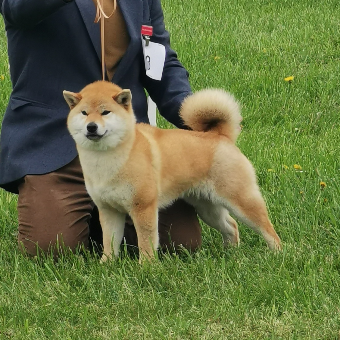 Allaikha Eiko